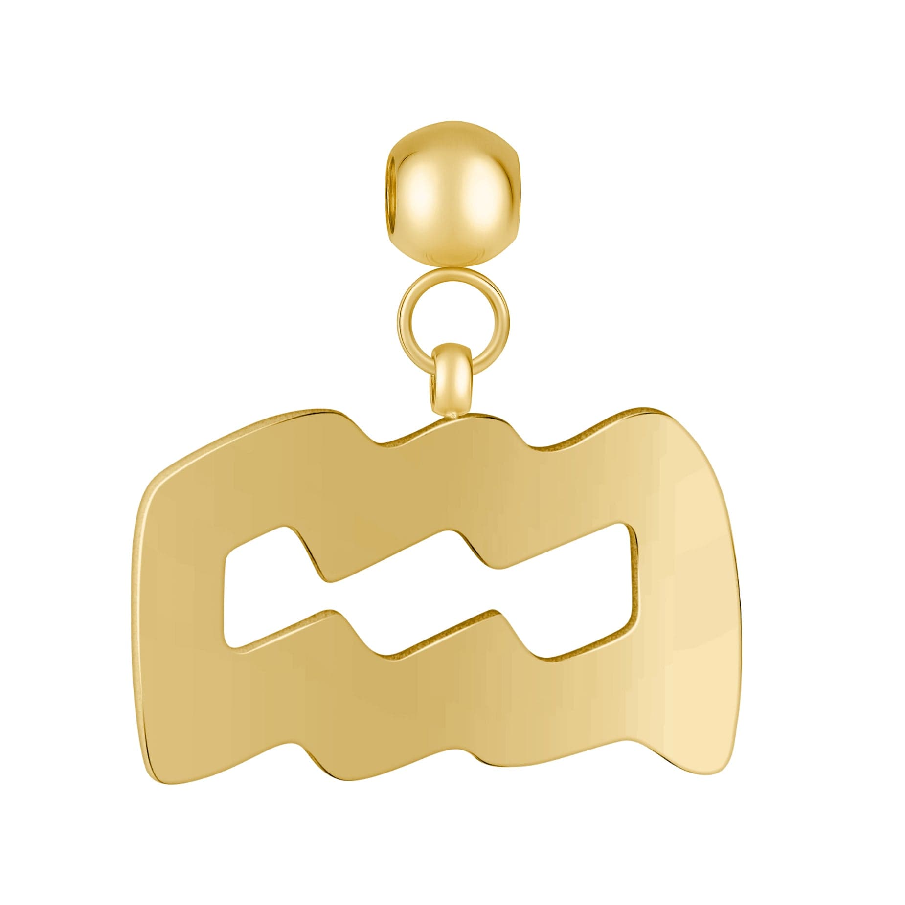 Aquarius Charm