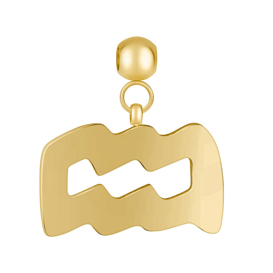 Aquarius Charm