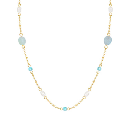 Ashtin Choker Necklace