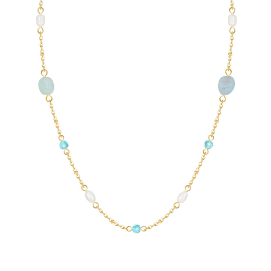 Ashtin Choker Necklace