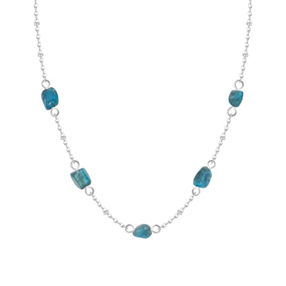 Dana Choker Necklace