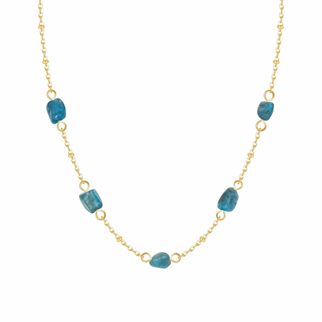 Dana Choker Necklace