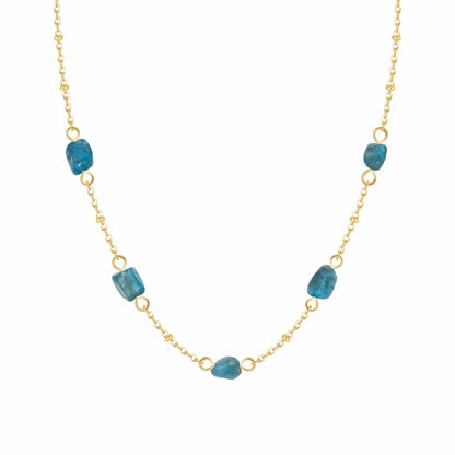 Dana Choker Necklace