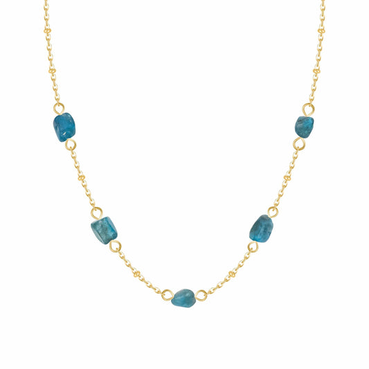 Dana Choker Necklace