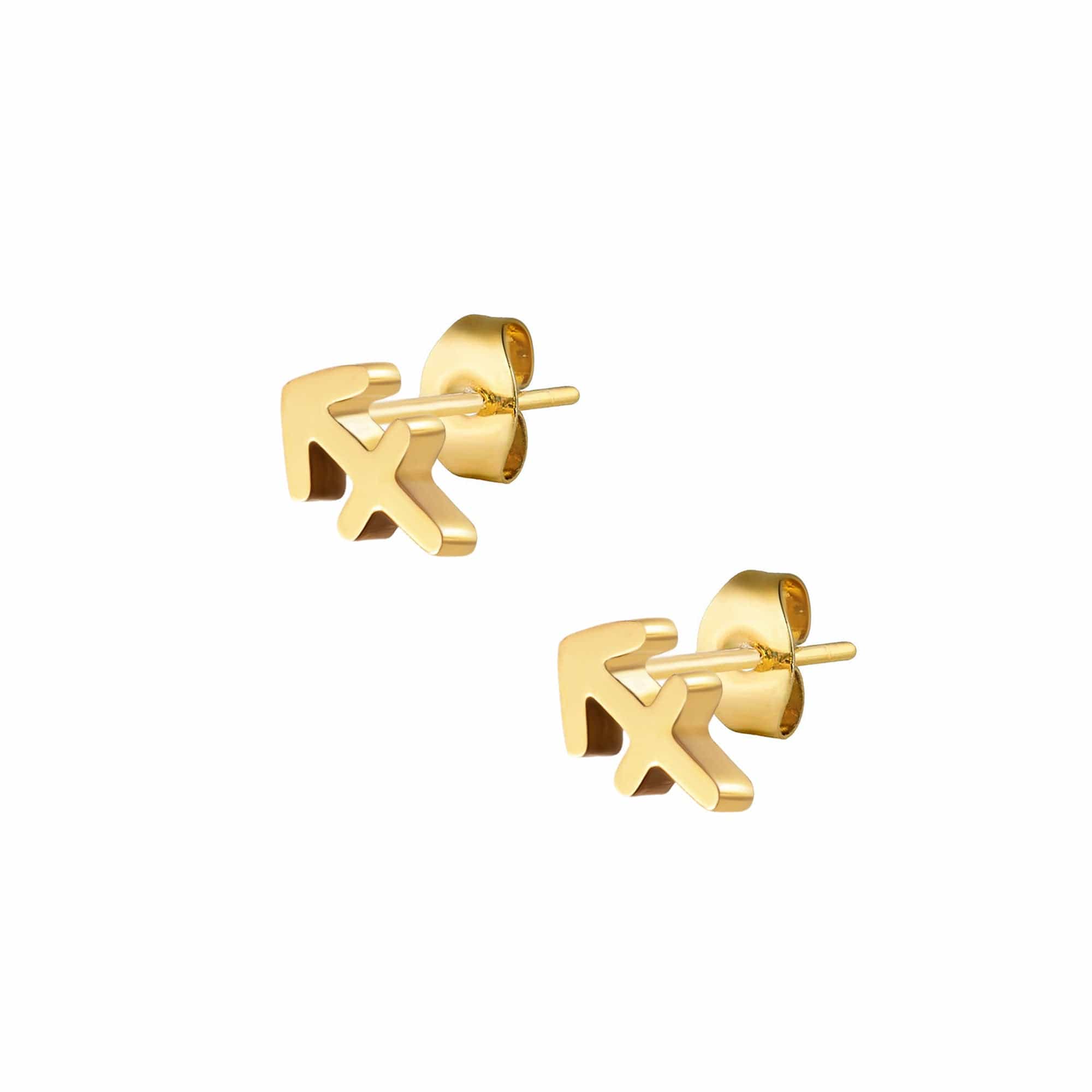 Fate Zodiac Stud Earrings