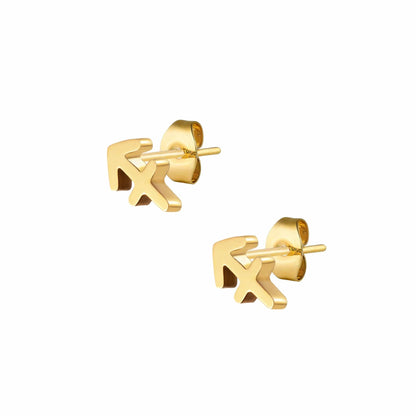 Fate Zodiac Stud Earrings