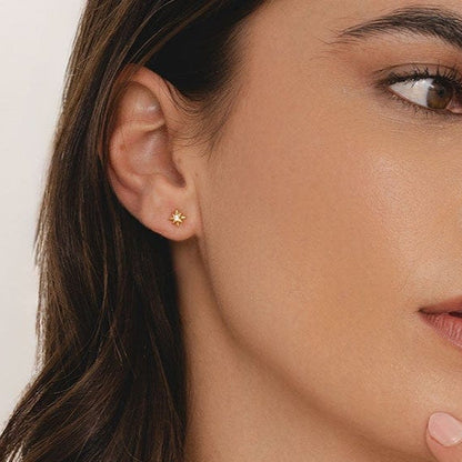 Radiance Stud Earrings