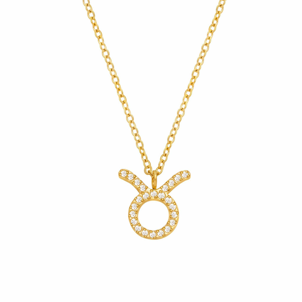 Soar Zodiac Necklace