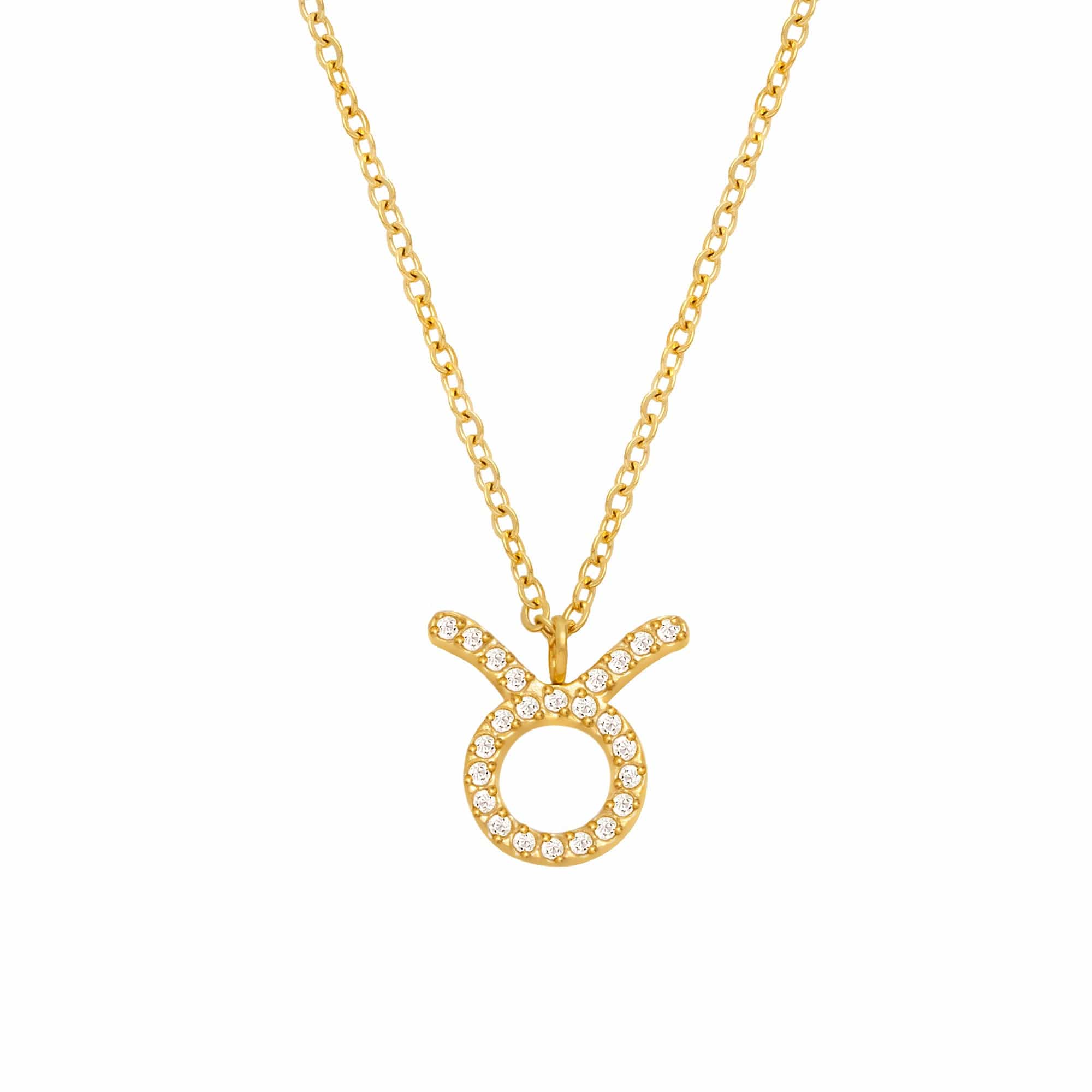 Soar Zodiac Necklace