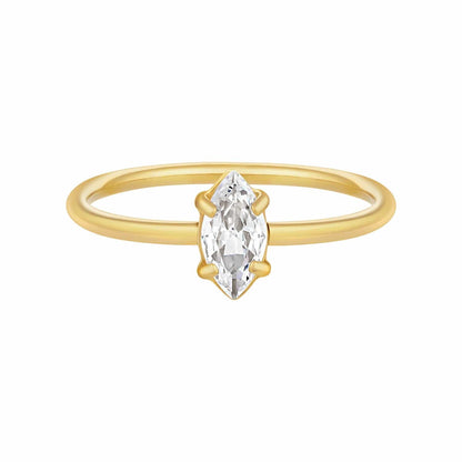 Sparkle Cracker Bundle - Gold