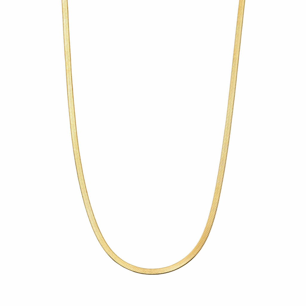 Stephanie Dainty Necklace
