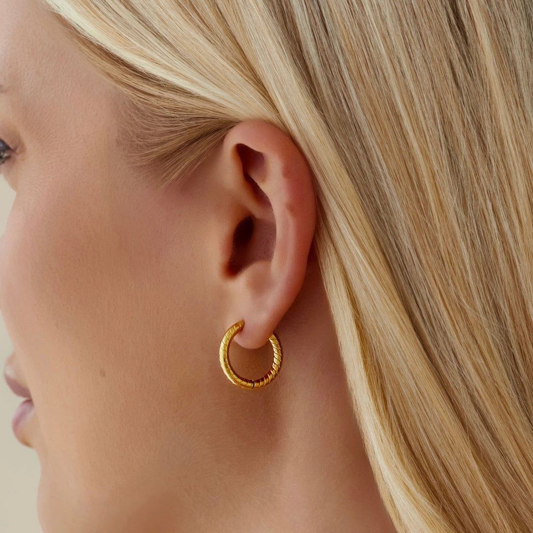 Daze Hoop Earrings