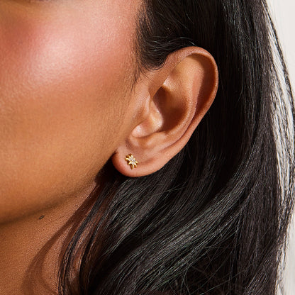 North Star Crystal Studs